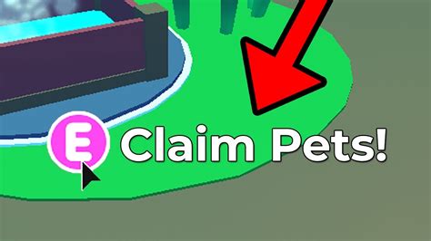 This Secret Place Gives Dream Pets In Adopt Me Youtube