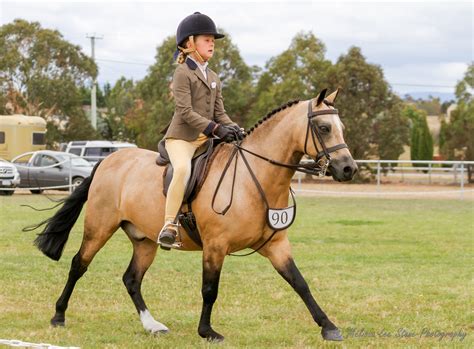 Show me pictures of horse flies. Longford Show Horse Show | Equestrian Tasmania