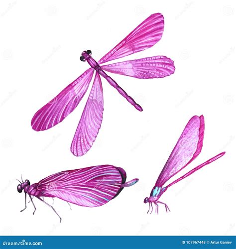 A Collection Of Watercolors Flying Dragonflies Stock Illustration