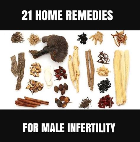 21 Home Remedies For Male Infertility Chinese Herbal Medicine Chinese Herbs Herbal Medicine