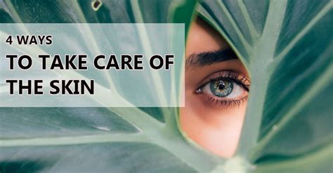 4 Ways To Take Care Of The Skin Health Tips