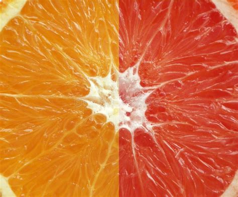Orange And Grapefruit Stock Photo Image Of Citrus Dietetic 2724856