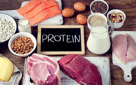 7 Reasons Why YOU Should Eat More Protein Rich Foods BIOptimizers Blog