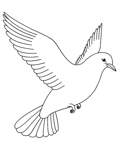 As a result, this color is a top selling white, consistently ranking white dove also maintains enough warmth so that it is not too cool, yet it does not go too creamy or yellow. that balance of warm and cool is often. Peace Dove Coloring Page at GetColorings.com | Free ...