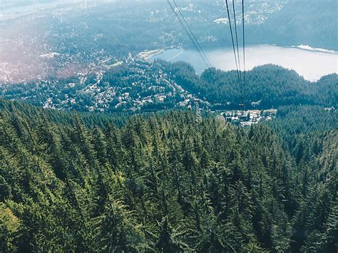 Grouse Mountain In North Shore Mountains Canada Sygic Travel