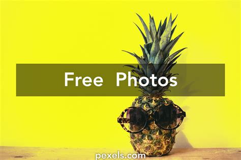1000 Engaging Photos · Pexels · Free Stock Photos