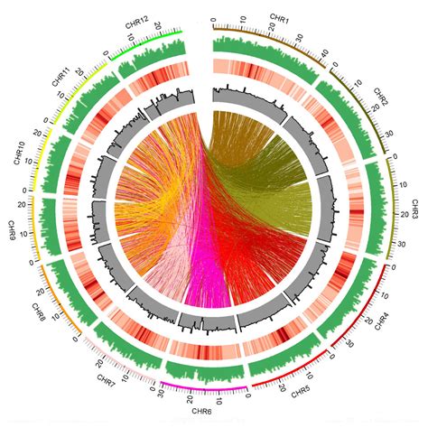 A Whole Genome Sequenced Rice Mutant Resource For The Study Of Biofuel