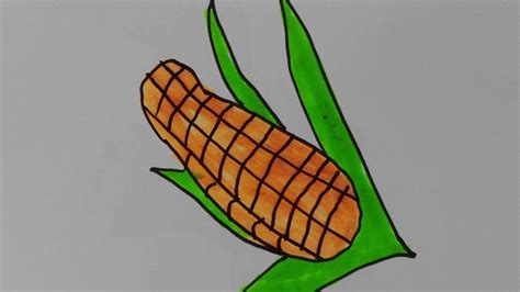 How To Draw Corn Draw Corn Stalks Corn Drawing Easy Youtube