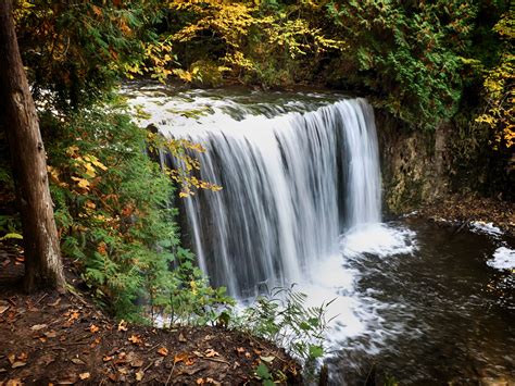 Images Gratuites Paysage Arbre Eau La Nature Cascade Feuille