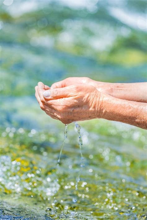 Washing Hands In Clear Water In A Stream Stock Image Image Of Fresh