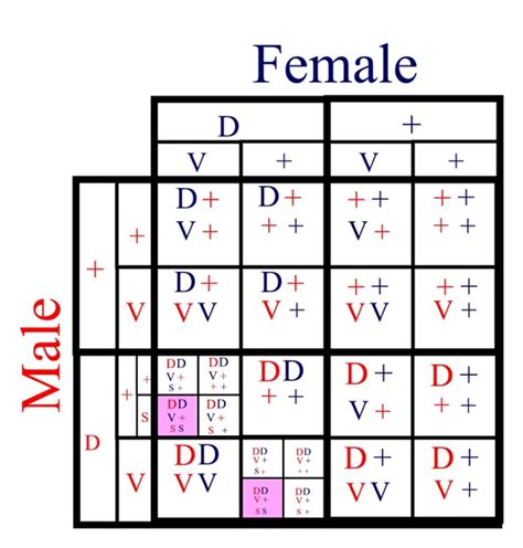 Gregor mendel created this cross to find out if traits were inherited independently of one another or to determine if they were dependent on another trait. Punnett Squares Images - Frompo