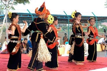 Karena berasal dari daerah asia selatan, alat musik ini paling sering digunakan untuk mengiringi pertunjukan tarian india dan juga dikolabirasikan dengan menggunakan instrumen dari musik klasik hindustan. tariansumazau