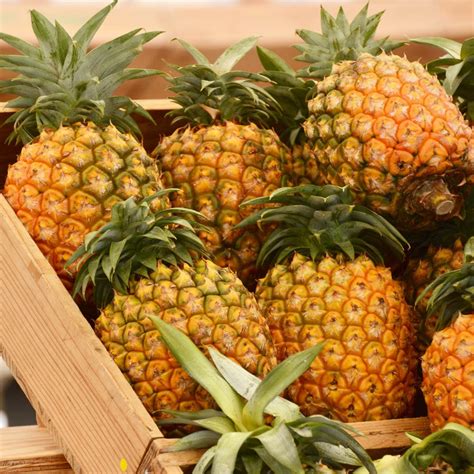 How To Tell If A Pineapple Is Ripe Home Cook Basics