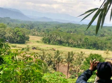 Jual tanah kavling kampung kurma jonggol, tanjungsari, jasinga bogor banten selatan, cipanas lebak banten, jasinga, cirebon. Tempat Wisata Di Jasinga Bogor - Tempat Wisata Indonesia
