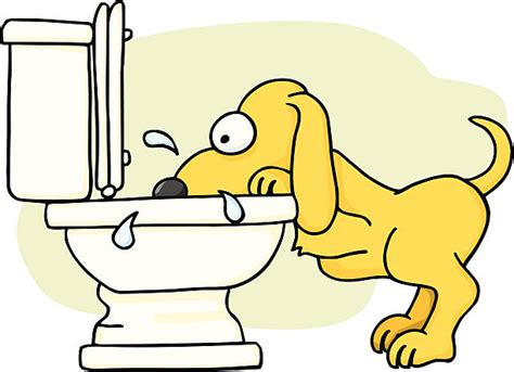 If your puppy is older than 16 weeks and cannot hold his/her urine overnight or approximately longer than 6 hours, then we start to become. Cartoon Of The Dog On Toilet Illustrations, Royalty-Free Vector Graphics & Clip Art - iStock