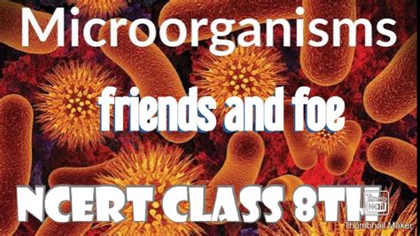 Microorganisms Friends And Foe Ncert Class 8 Science Chapter 2 Part