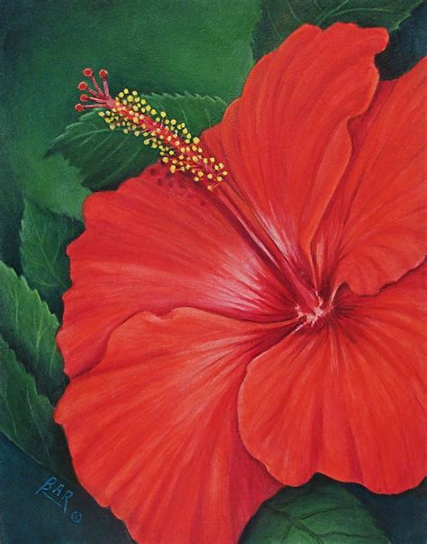Red Hibiscus Painting By Barbara Ann Robertson Flower Art Painting