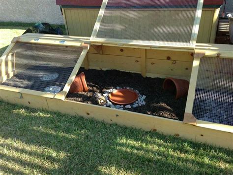 Awesome Outdoor Tortoise Enclosure Safe From Predators And The