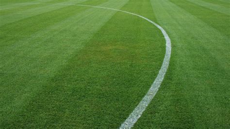 / ˈvudbɑlˌvɛlt / (3 lettergrepen). Bemestingsschema voor aanleg nieuw voetbalveld - DCM