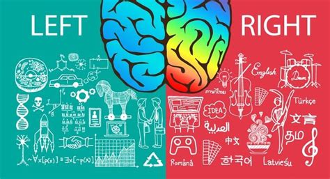 Are You Left Brained Or Right Brained