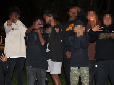 Youth Gangs The Advertiser