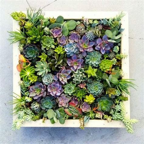 Vertical Succulent Wall Planter In Quick Easy Steps Diy
