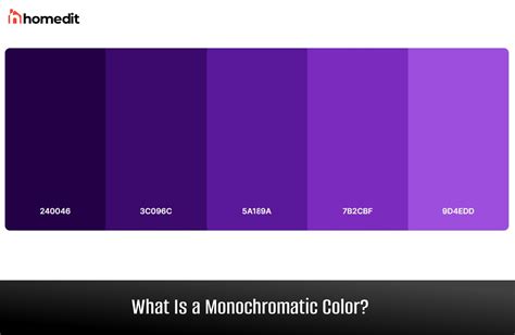 A Guide To Monochrome Color Basics And Pairings