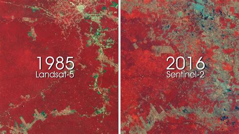 Amazon Rainforest Deforestation Before And After