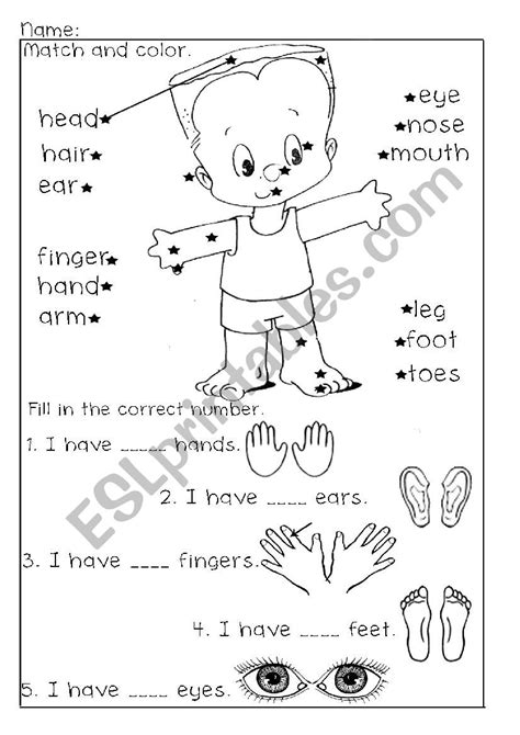 We have 15+ free body worksheets for kids for you to choose from and kids will enjoying learning about the we have worksheets that ask kids to match pictures of parts with their names, match. Parts of the Body - ESL worksheet by jessamay27