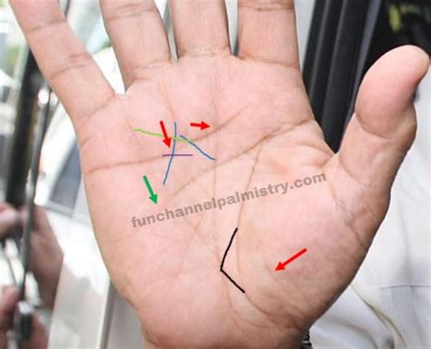 Best Signs In Palmistry And Super Powerful Signs On Your Hands