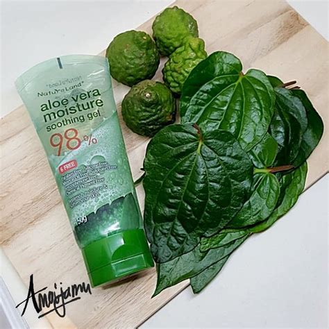 Ketika mendidih, angkat dan jadikan tangas. 5 Resepi Cantik Dengan Daun Sirih Untuk Mak-mak 30-an ...