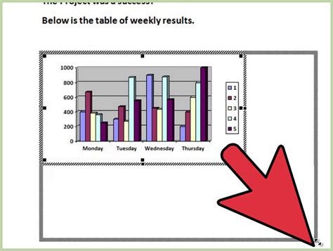 How To Add A Graph To Microsoft Word 5 Steps With Pictures