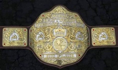 Solve 10 Pounds Of Gold The Big Gold Belt Jigsaw Puzzle Online With 60