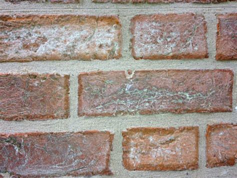 Historic Brick Pointing Services
