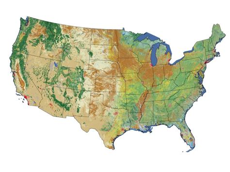 Topographical Map Of The United States