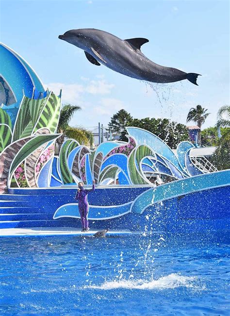 15 Tips To Maximize Your Time At Seaworld San Diego