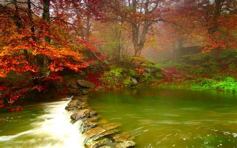 Hd Beautiful Misty Forest River Wallpaper Download Free 53326