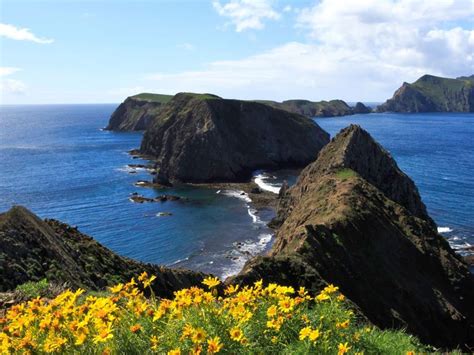 Insiders Guide To Channel Islands National Park