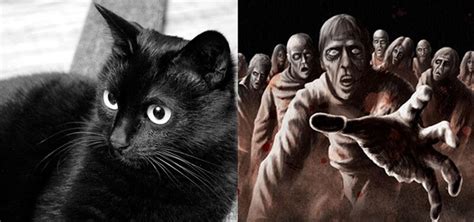 “quỷ Nhập Tràng” Mèo Nhảy Qua Xác Chết Và Những Bí ẩn được Hé Lộ
