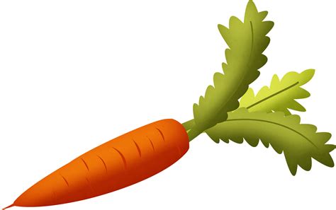 Carrot Png Transparent Image Download Size 2542x1595px