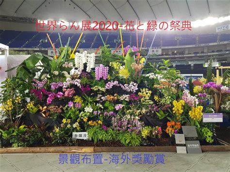 籃網總教練奈許（steve nash）確認，哈登（james harden）因右腿筋傷勢，將繼續缺戰第4場。 現階段，哈登繼續處於康復階段，他何時復出並沒有一個明確的時間表。 奈許在談及哈登的康復進度時表示：「他的進展都非常順利。 」籃網組建三巨頭後. 世界らん展2020-花と緑の祭典 與你相約日本東京 | 展壯台大蘭園,展壯台大休閒農場,蘭花禮盆,喜慶花籃,精緻禮 ...
