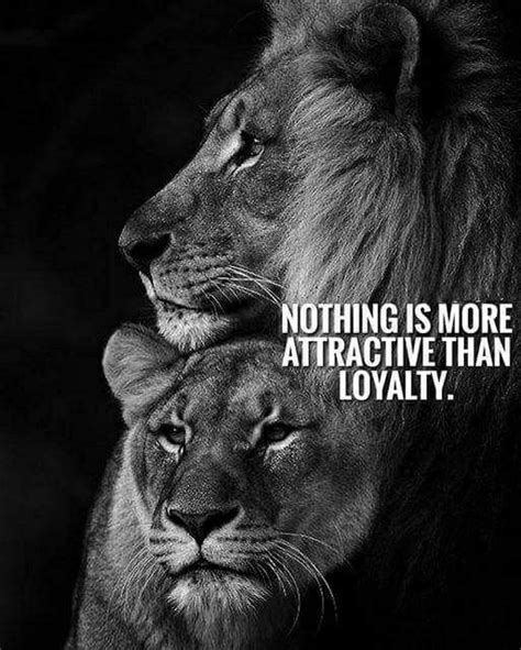 Pin By Gabriela On To Love And Be Loved Like This Lion