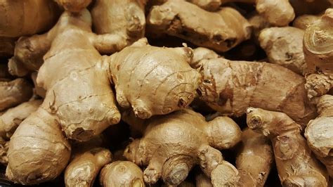 ginger root 1 2 lb terhune orchards