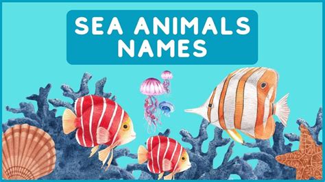 Sea Animals Names For Children Water Animals For Kids Learn Sea