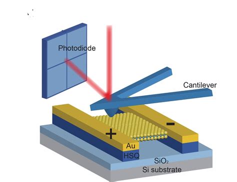 Observan Piezoelectricidad En Un Semiconductor 2d