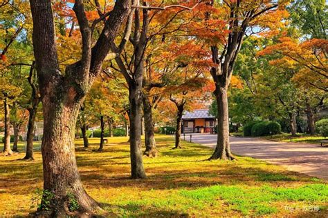 9:00 am to 5:00 pm, closed from december 28th to january 1st, nishinomaru garden: Osaka Castle Nishinomaru Garden travel guidebook -must ...