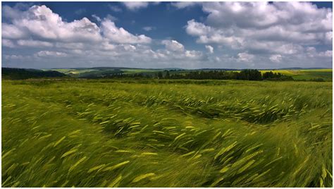 Ode An Den Wind Foto And Bild Landschaft Äcker Felder And Wiesen