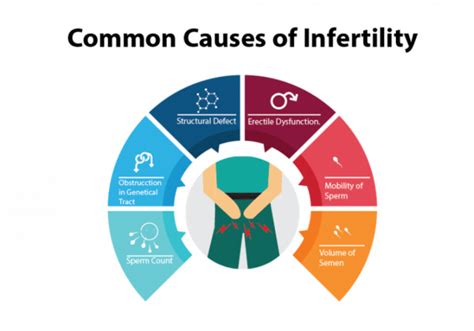 Back To Basics Understanding Mens Reproductive Health Nua Fertility