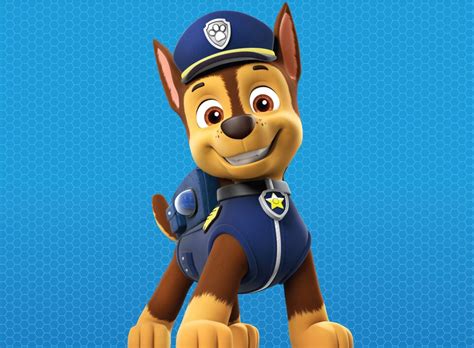Paw Patrol Live Heroes Unite Show Details Characters And More