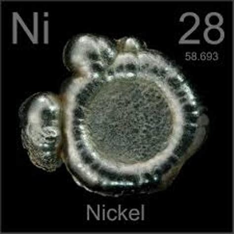 10 Interesting Nickel Facts My Interesting Facts